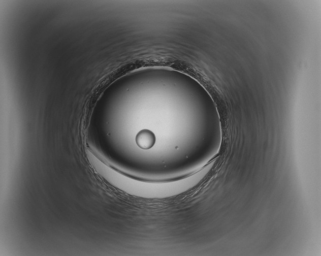 X0000115281297200911061320
