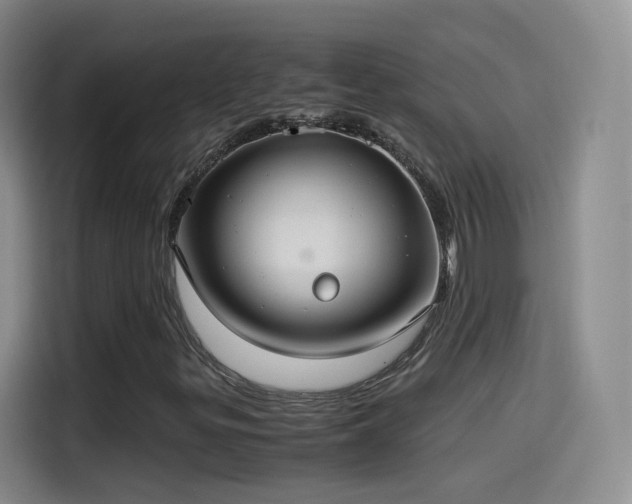 X0000115281299200911061320
