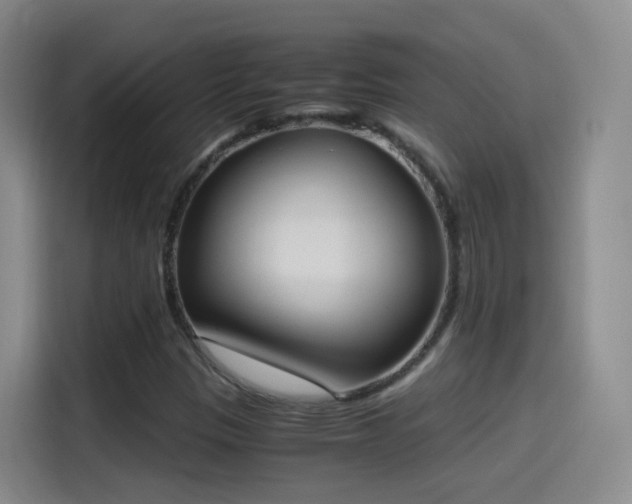 X0000115281305200911061320