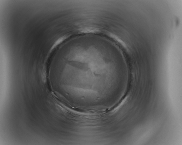 X0000115281306200911061320