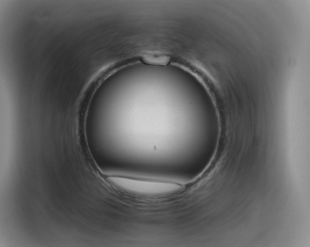 X0000115281307200911061320