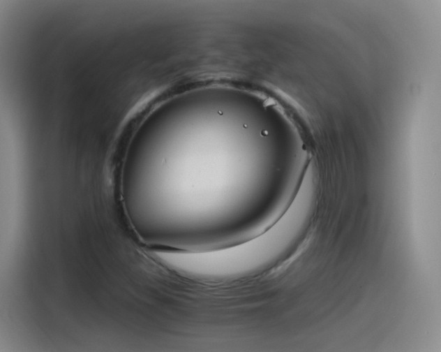 X0000115281309200911061320