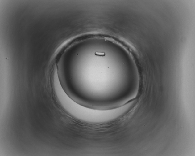 X0000115281311200911061320