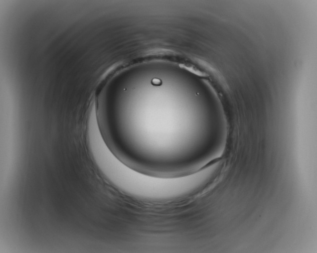 X0000115281313200911061320