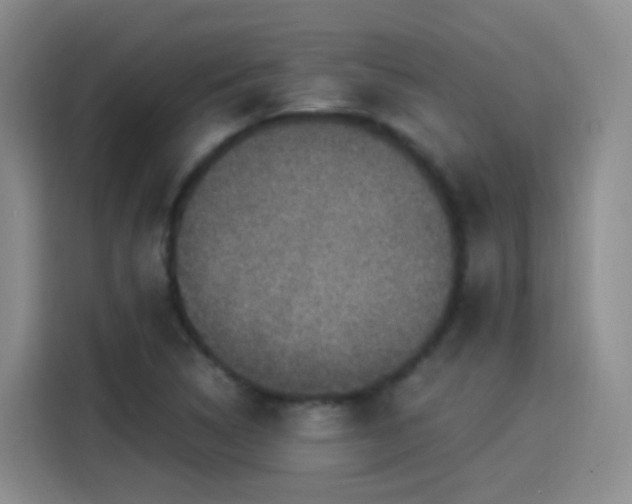 X0000115281314200911061320