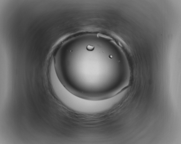 X0000115281315200911061320