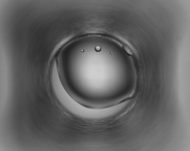 X0000115281317200911061320