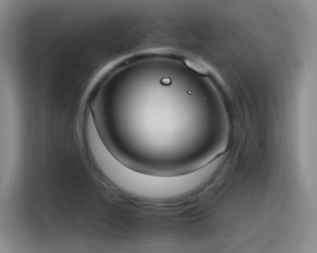 X0000115281319200911061320