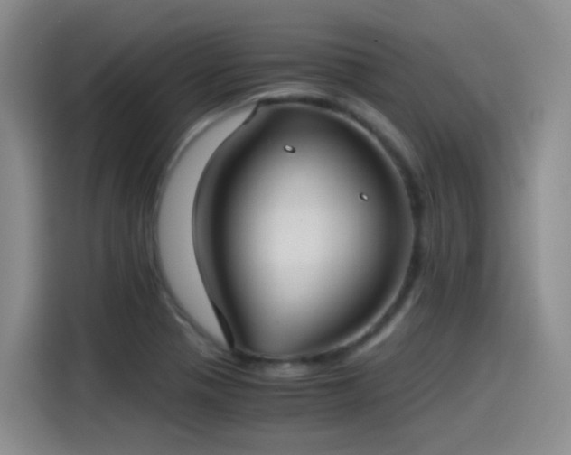 X0000115281321200911061320