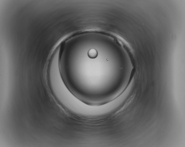 X0000115281325200911061320