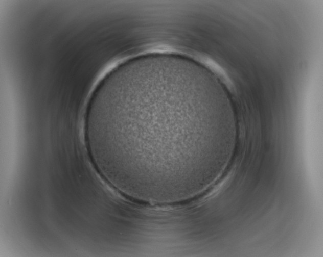 X0000115281326200911061320