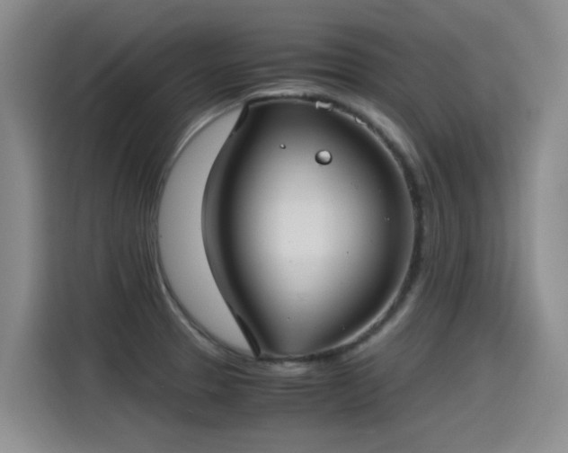 X0000115281329200911061320