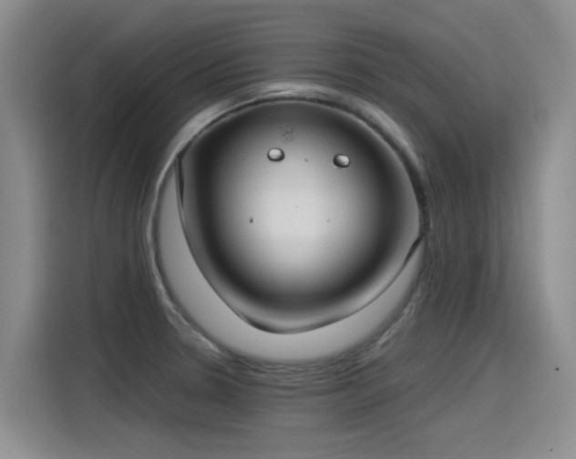 X0000115281330200911061320