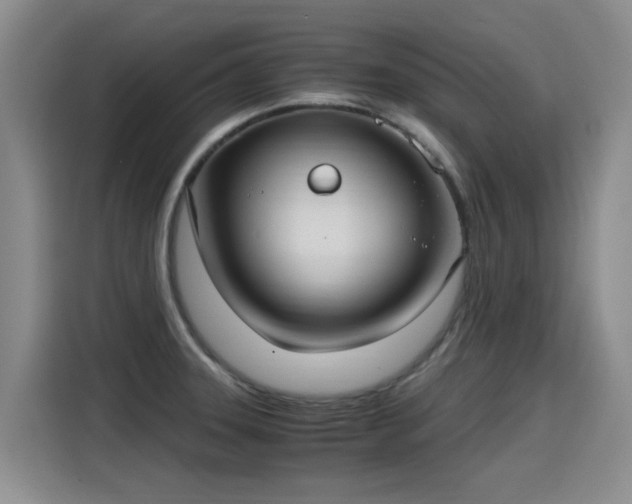 X0000115281331200911061320