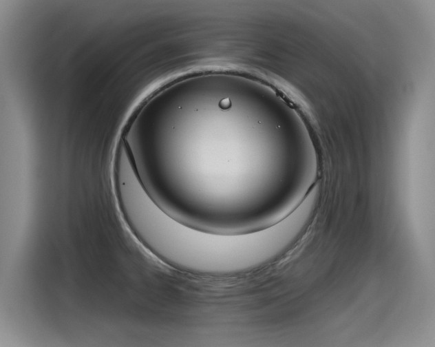 X0000115281334200911061320
