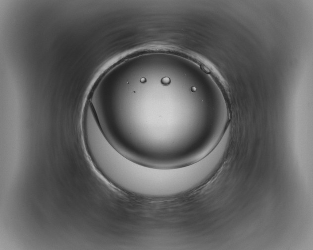 X0000115281335200911061320