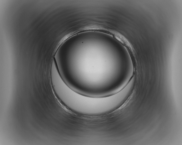 X0000115281337200911061320