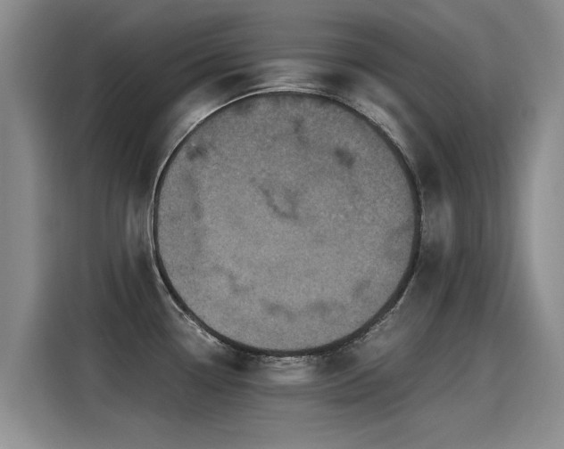 X0000115281338200911061320