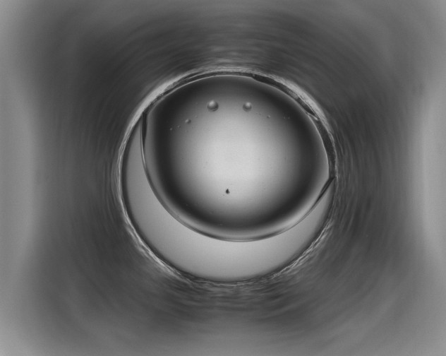 X0000115281341200911061320