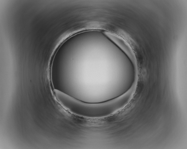 X0000115281342200911061320