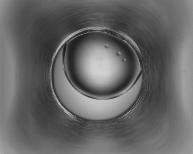 X0000115281343200911061320