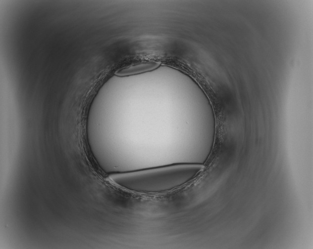 X0000115281345200911061319