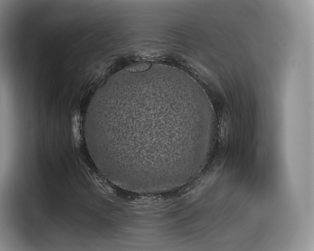 X0000115281346200911061319