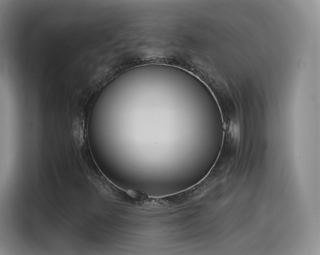 X0000115281348200911061319