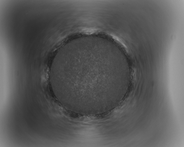 X0000115281349200911061319