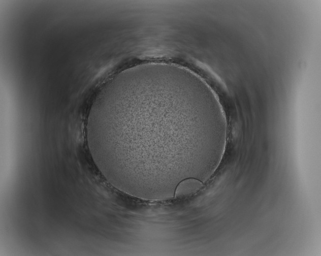 X0000115281350200911061319