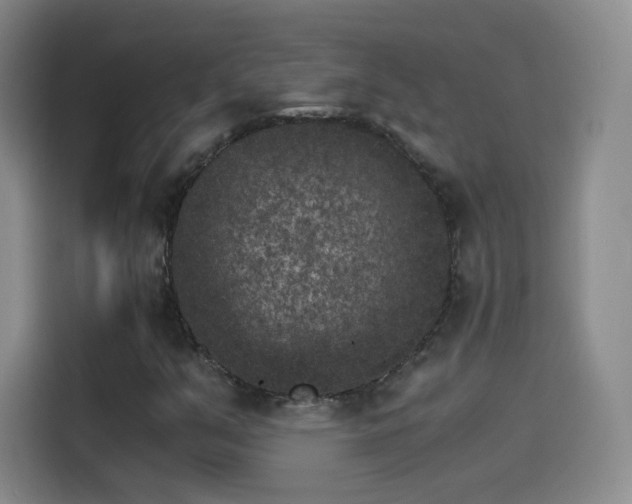 X0000115281351200911061319