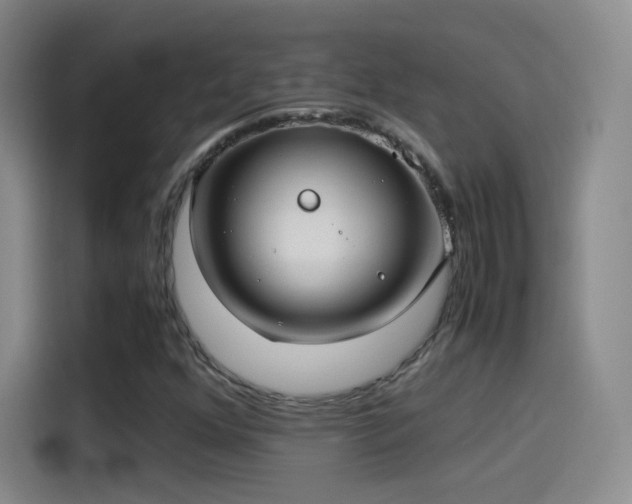 X0000115281352200911061319