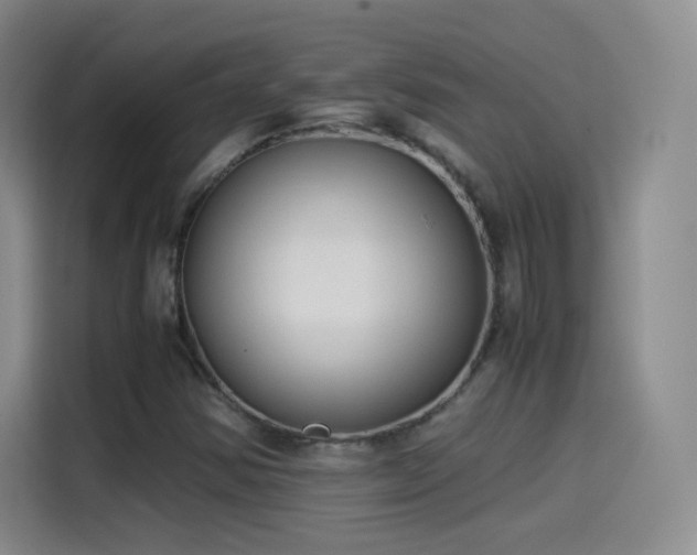 X0000115281354200911061319