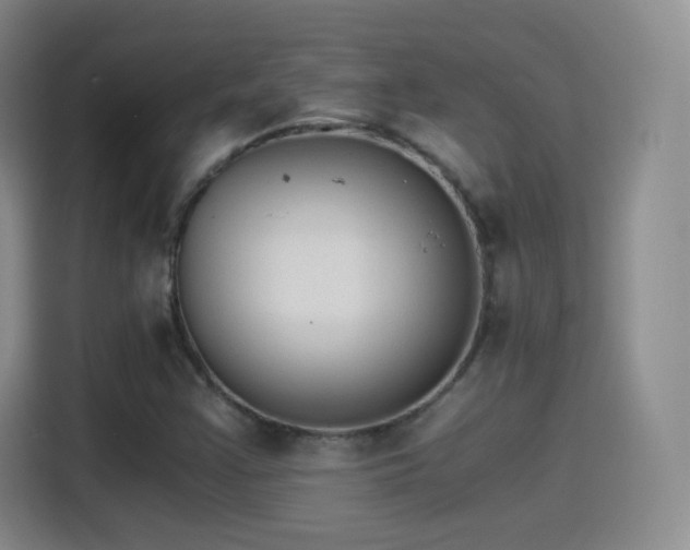 X0000115281355200911061319