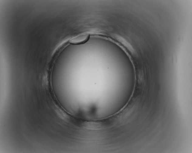 X0000115281356200911061319