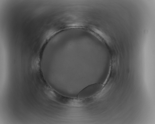 X0000115281357200911061319