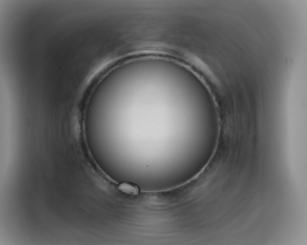 X0000115281360200911061319