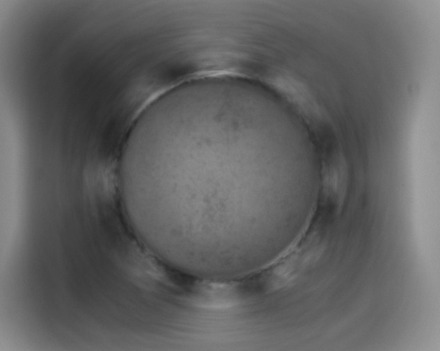 X0000115281361200911061319