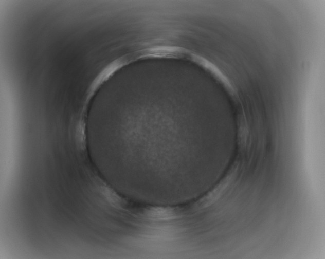 X0000115281362200911061319