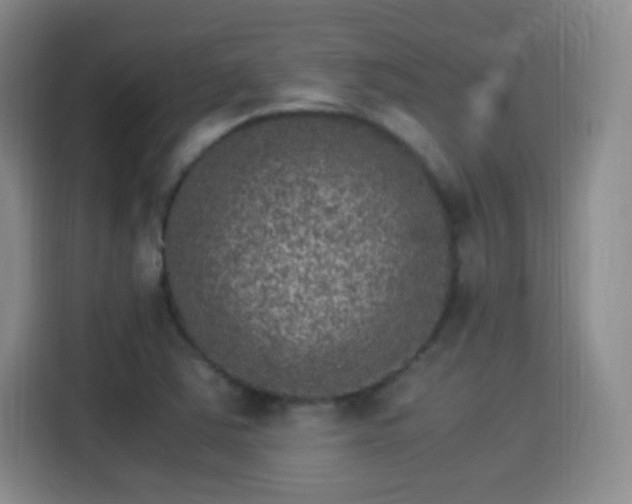X0000115281363200911061319