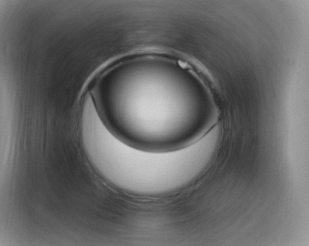 X0000115281364200911061319