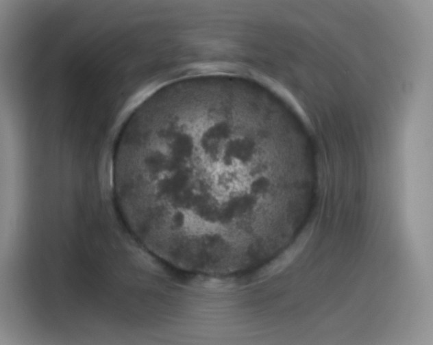 X0000115281365200911061319