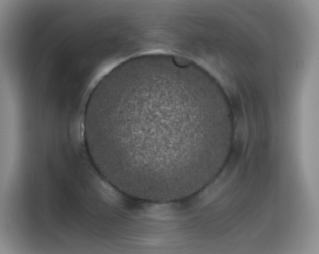 X0000115281367200911061319
