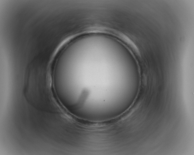 X0000115281368200911061319