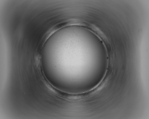 X0000115281369200911061319