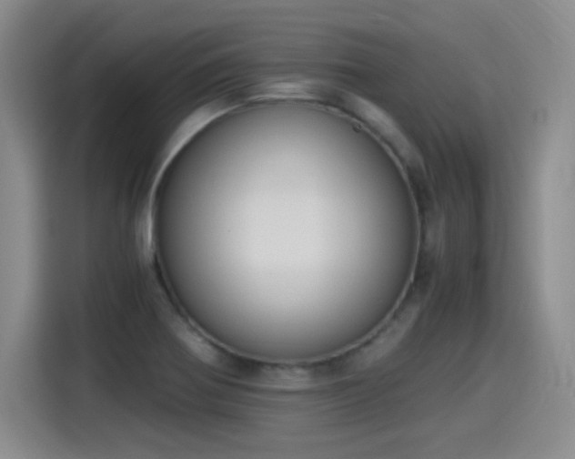 X0000115281370200911061319