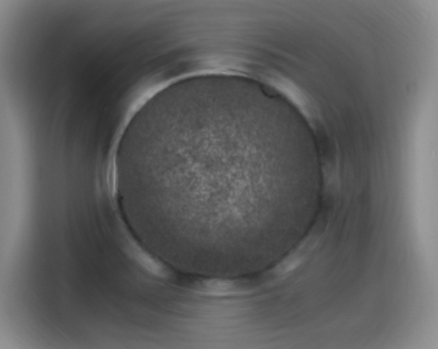 X0000115281371200911061319