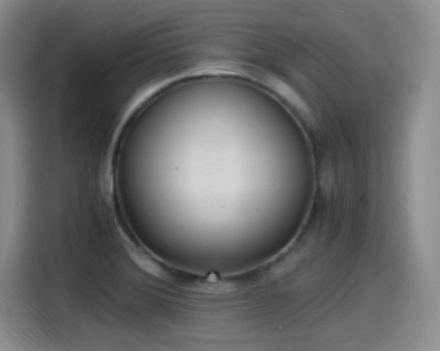 X0000115281372200911061319