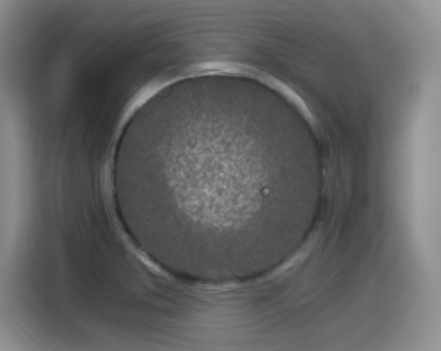 X0000115281373200911061319