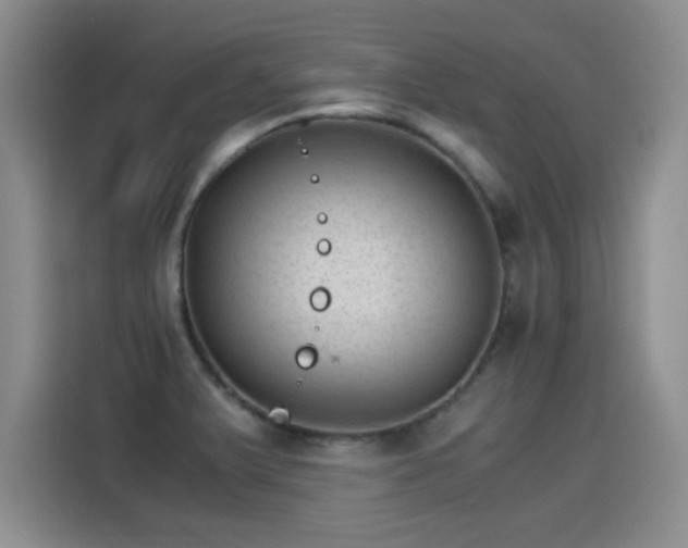 X0000115281375200911061319